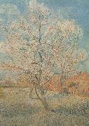 Peach Tree in Blossom (nn040 Vincent Van Gogh